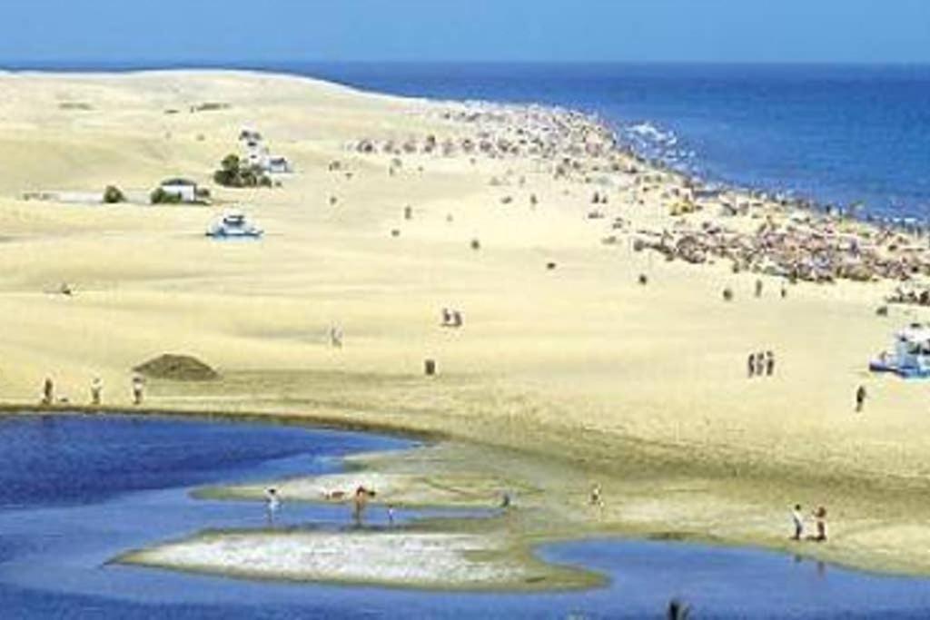 Bungalow Maspalomas Tranquilo Luminoso Y Apto Para El Teletrabajo 외부 사진